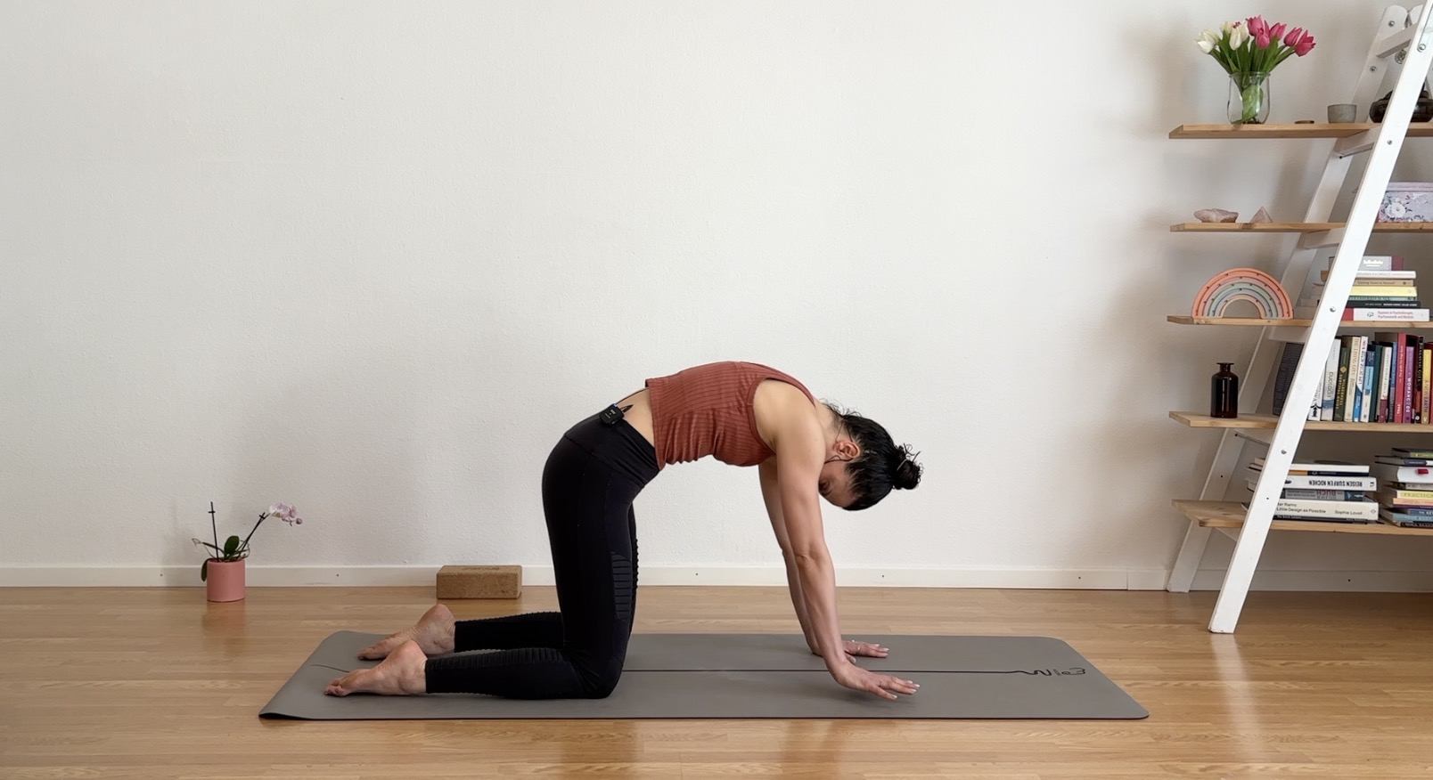 Active Cat Pose Hand raise