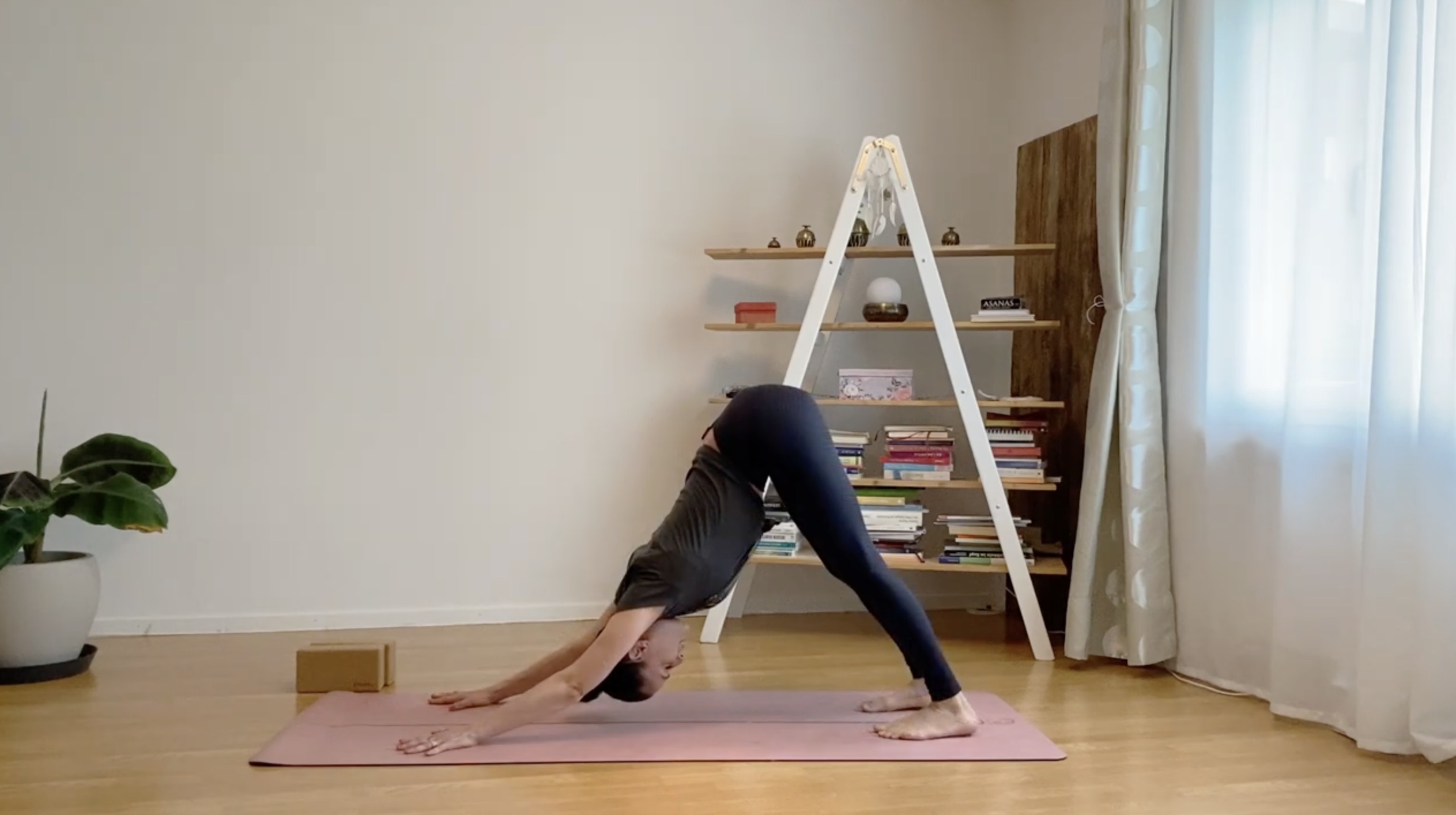 Die Yoga Klasse zu deinem Guide